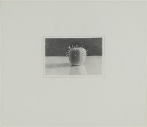 Image description is not available for 2009.010